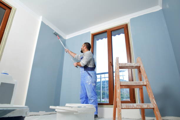 Best Asbestos and Lead Testing During Mold Inspection  in Long Lake, MN