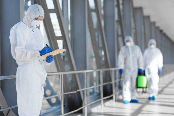 Best Mold Odor Removal Services  in Long Lake, MN
