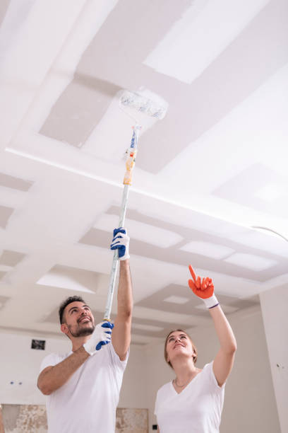 Long Lake, MN Mold Removal Company