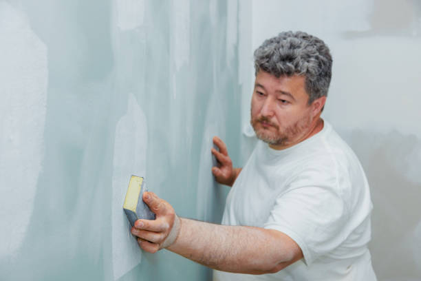 Best Basement Mold Removal  in Long Lake, MN