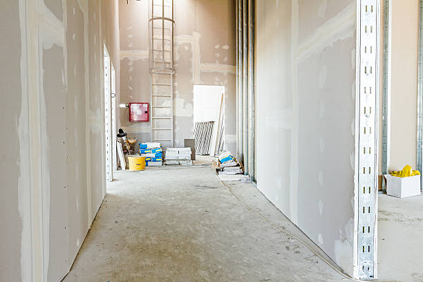 Best Biohazard Mold Removal  in Long Lake, MN