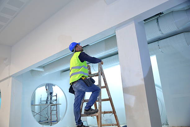 Best Dehumidification Services  in Long Lake, MN